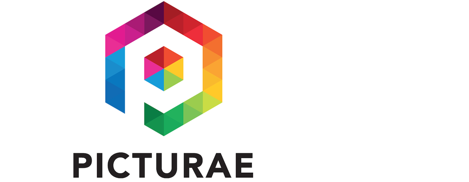 Picturae logo