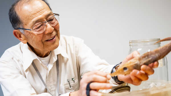 Academy curator Tomio Iwamoto holds a preserved grenadier fish specimen. Photo by Gayle Laird