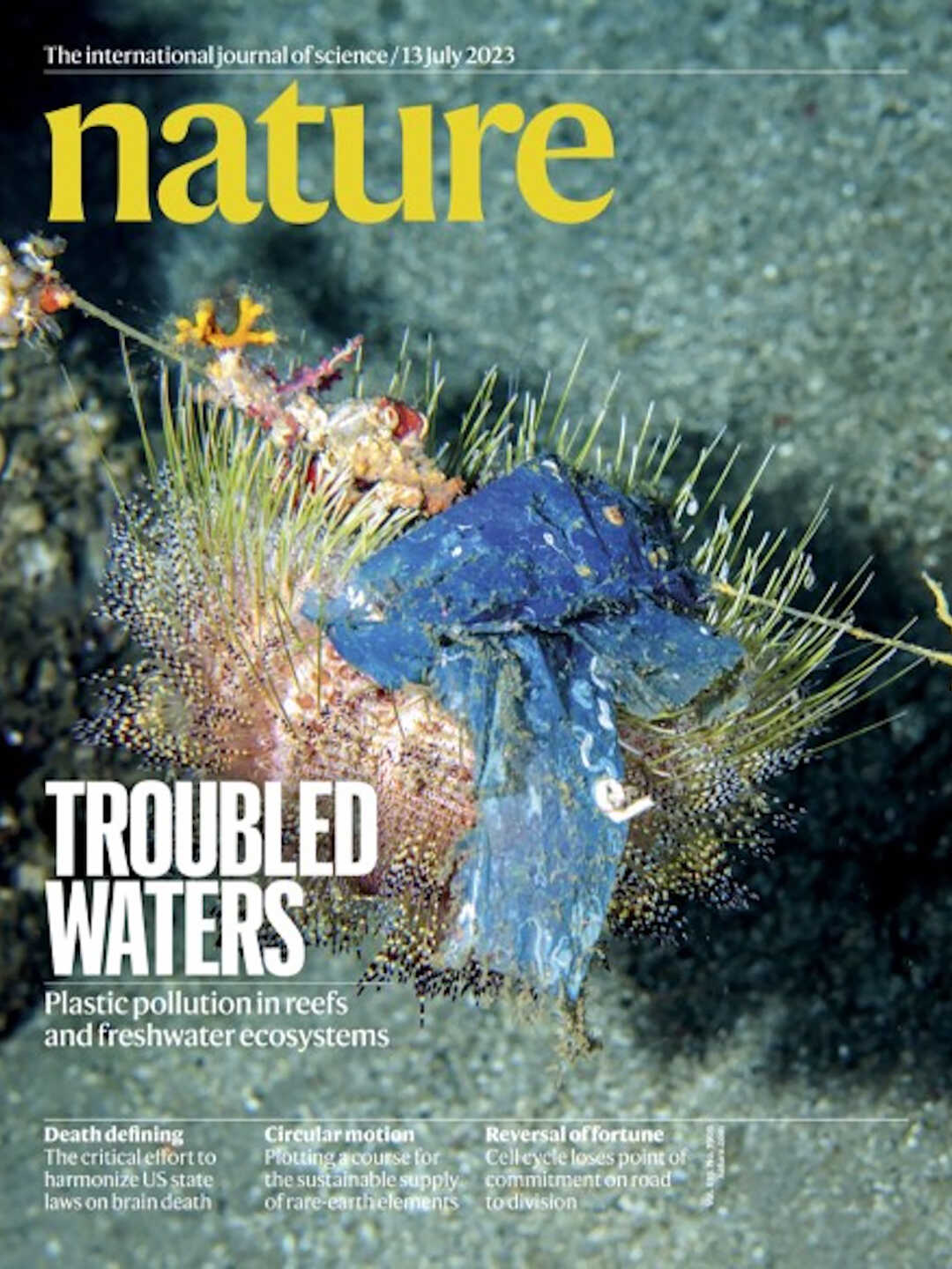 The cover of Nature journal with photo of debris-covered urchin by Luiz Rocha