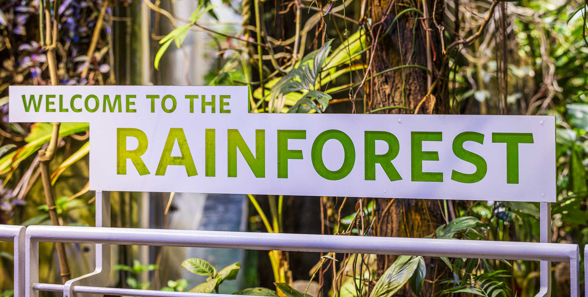 A sign reading "Welcome to the Rainforest" from inside Osher Rainforest is photographed behind a railing and in front of flora. 