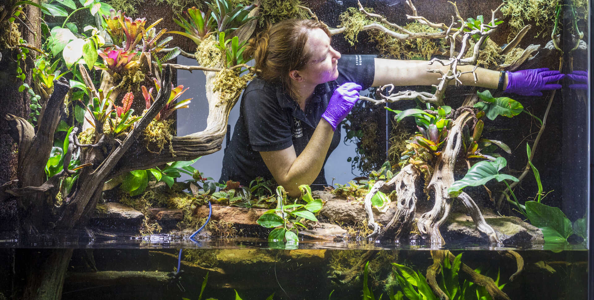 An academy biologist prepares an enclosure for animal reintroductions. 