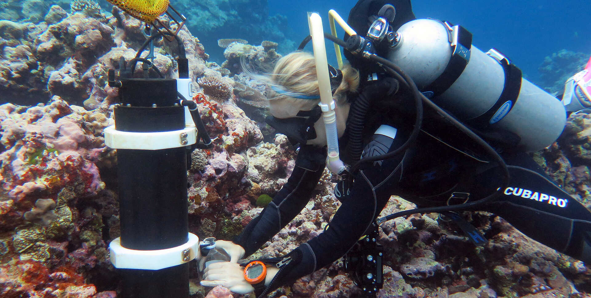 Academy coral reef scientist Rebecca Albright studies a reef in Pohnpei