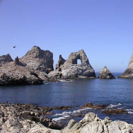 The Gulf of the Farallones National Marine Sanctuary