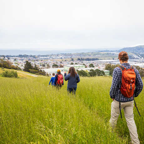 Group hiking through a green field