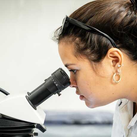 A female researcher looks through a microscope in the Coral Regeneration Lab. Photo by Gayle Laird