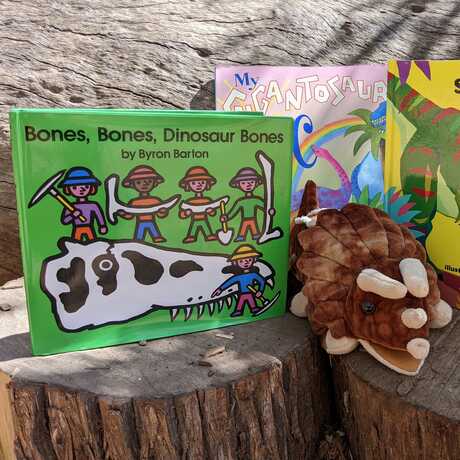 A triceratops puppet with 3 dinosaur childrens books in an outdoor space