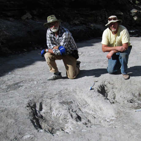 Martin Lockley (right) and Ken Cart kneel beside two large Cretaceous-age scrapes from western Colorado