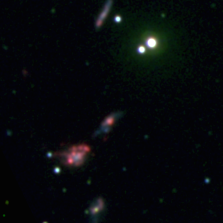 Four of the dwarf galaxies