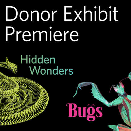 Donor Exhibit Premiere for Hidden Wonders and Bugs