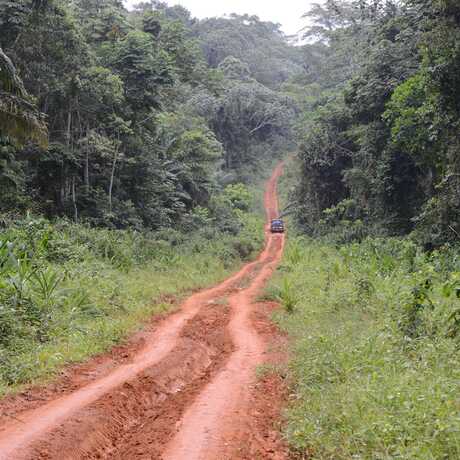 2013 expedition to southern Cameroon