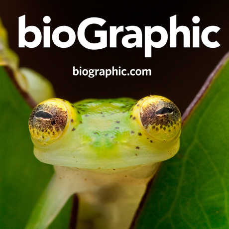 bioGraphic