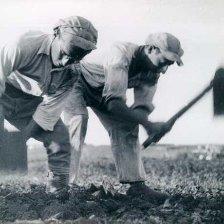 Two Men Plowing