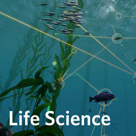 life science activities for K-12 students