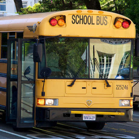 School bus mariosanchezprada