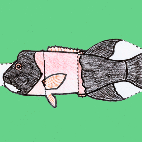 Animated GIF of sheephead fish craft