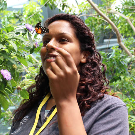 A young woman examines a butterfly in the Rainforests of the World exhibit. 