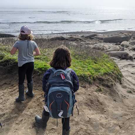 Two children look out to sea at Ano Nuevo Preserve