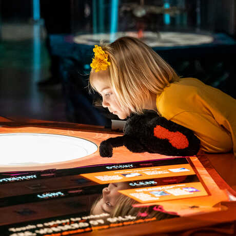 Girl looks into a specimen table in Bugs exhibit at the Academy