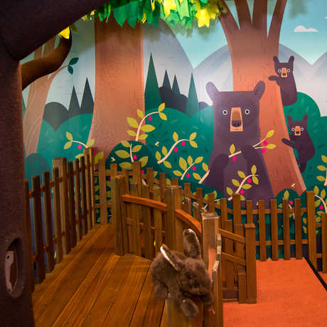 The iconic climbing tree framed by an all-new colorful mural inside the new Curiosity Grove educational play space. 
