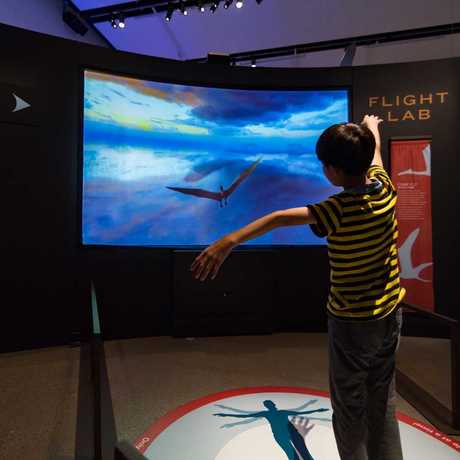 A child flies like a pterosaur in the Flight Lab simulator inside the Pterosaurs exhibit