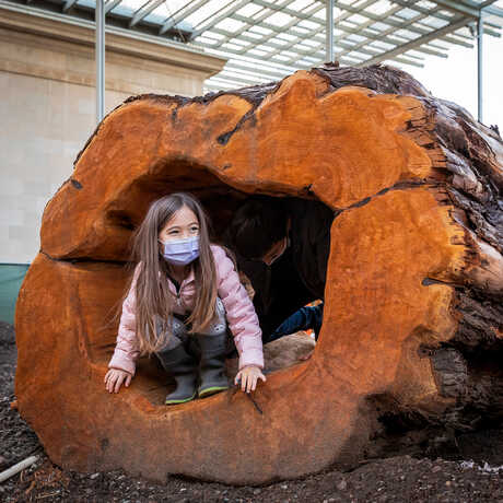 Masked girl plays inside a giant hollowed-out log in Wander Woods nature playspace at the Academy
