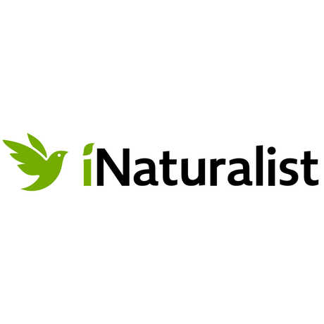 iNaturalist logo and wordmark