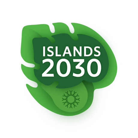 Islands 2030 wordmark featuring tropical leaf illustration