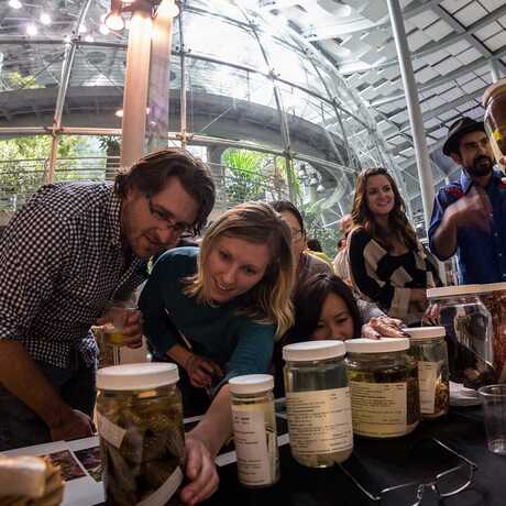 NightLife guests examine specimens in front of the rainforest dome