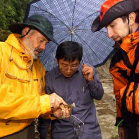 Entomologists Dave Kavanaugh, Liang Hongbin, and graduate student Paul Marek. Photo Dong Lin.