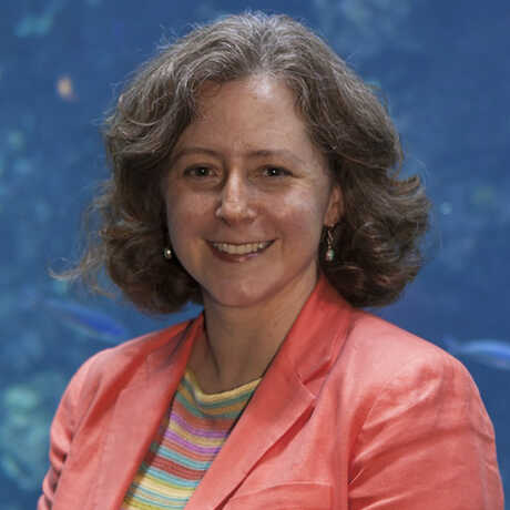 Dr. Elizabeth Babcock, Ph.D.