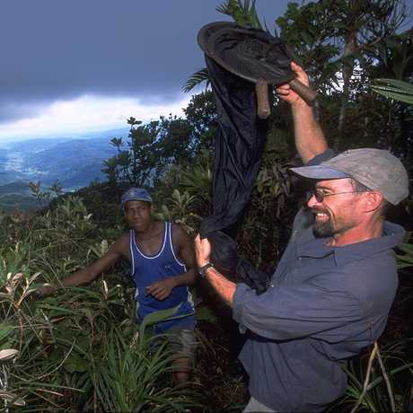 Brian Fisher collecting in Madagascar