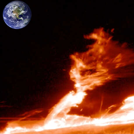 A solar prominence compared to Earth.