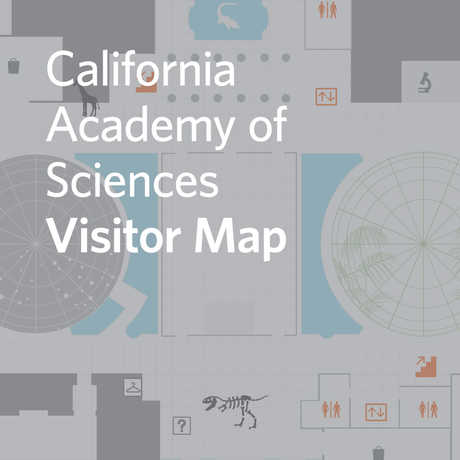 interactive visitor map