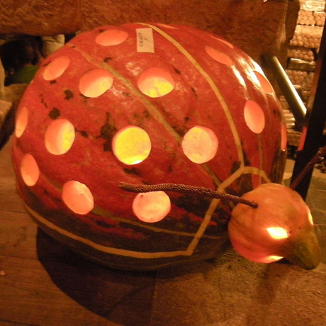 Ladybug pumpkin