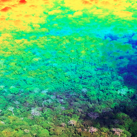Carnegie Airborne Observatory: Turning forests into 3D images
