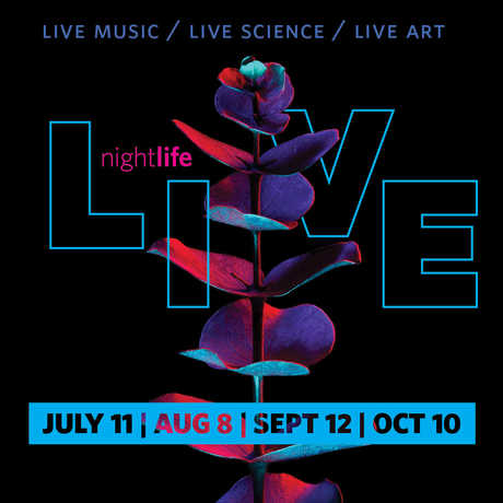 NightLife LIVE 2019