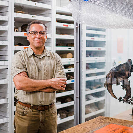 Dr. Peter Roopnarine stands in the Academy collections next to fossil of saber-toothed cat