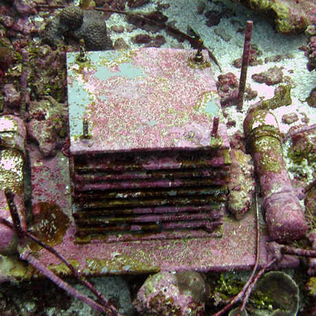 An ARMS module placed in a coral reef