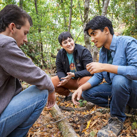 Harper Forbes, Lauren Esposito, and Prakrit Jain search for scorpions