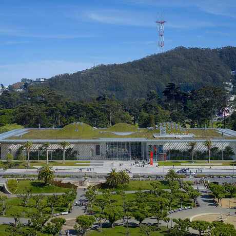 Academy exterior building Golden Gate Park