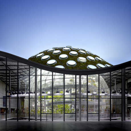 The rainforest dome and Living Roof of the California Academy of Sciences at twilight