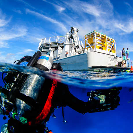 California Academy of Sciences and the Dalio Ocean Initiative