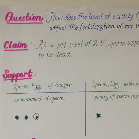 claim, support, question... used in science investigation