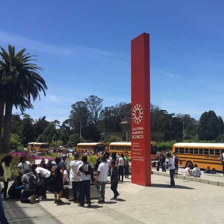 Students arriving at the California Academy of Sciences