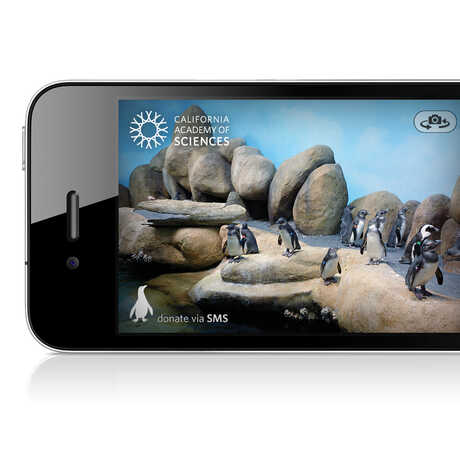 Photo of iPhone with Pocket Penguins app on the screen