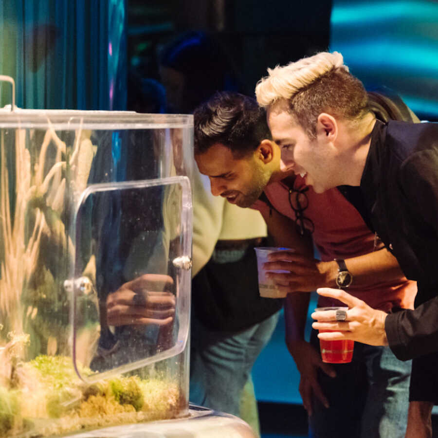 2 male NightLife guests look into an exhibit at the Academy