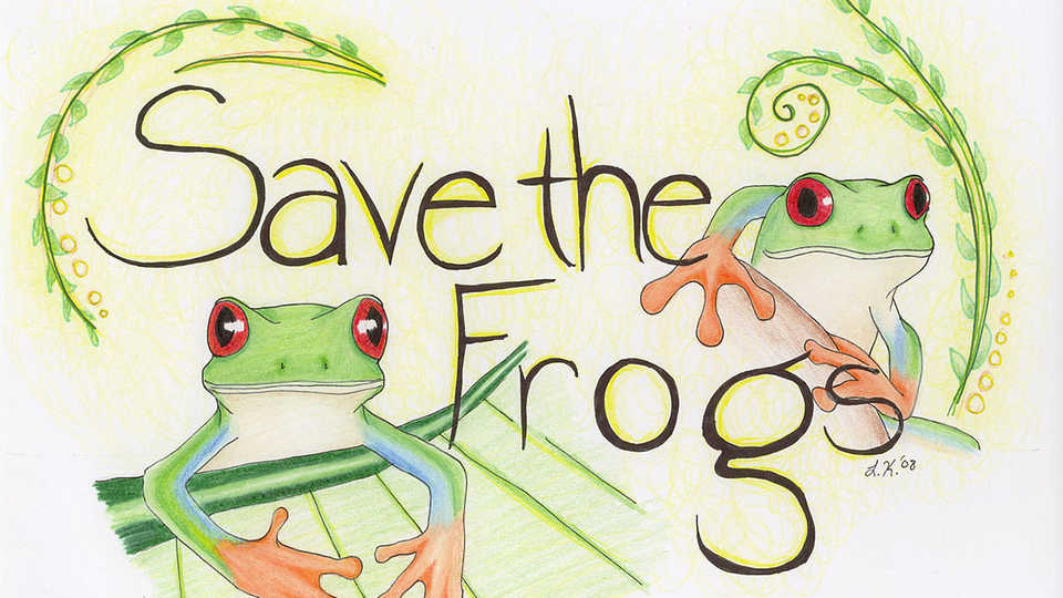 Save the Frogs Art