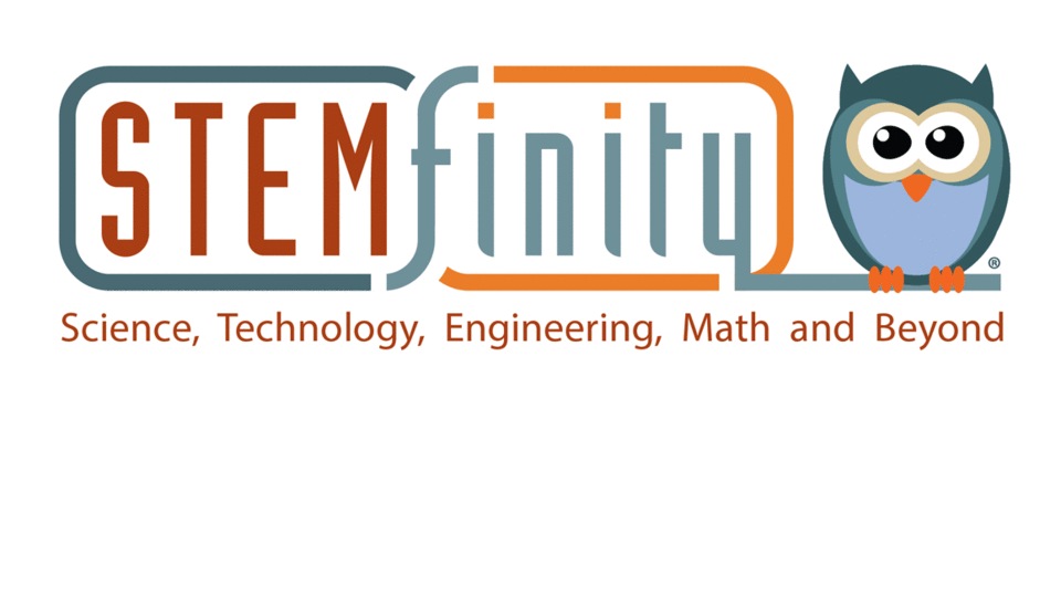 stemfinity logo with owl