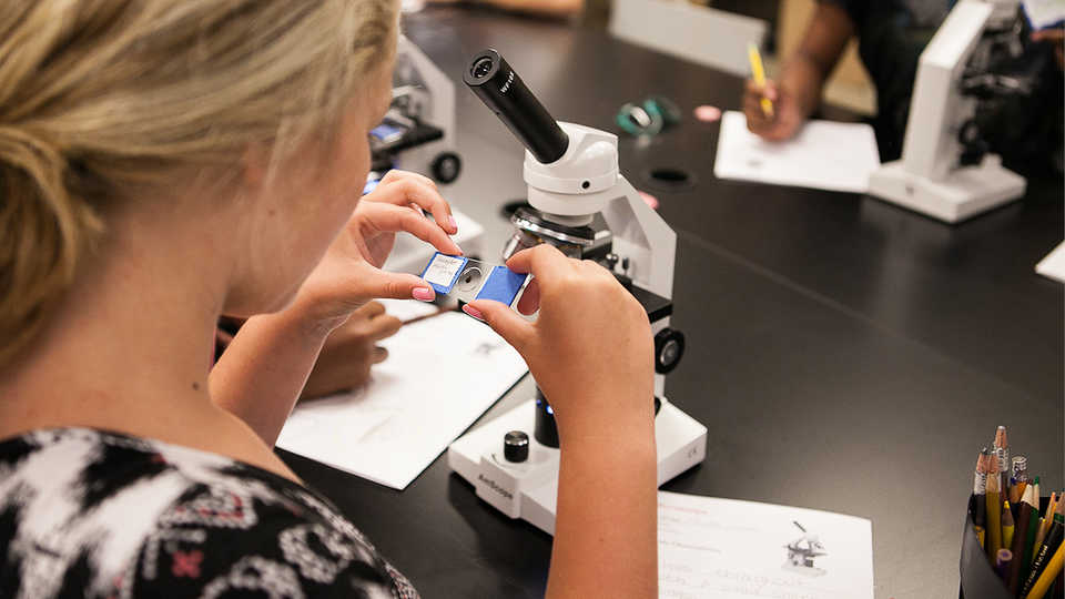 A student examines a microscope slide.