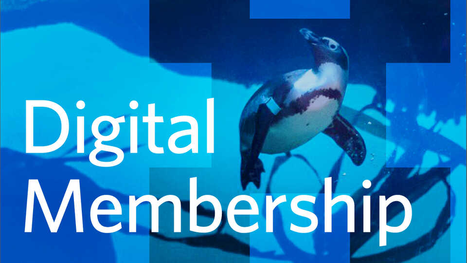 Web hero image for Digital Membership with underwater photo of penguins